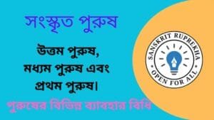 সংস্কৃত পুরুষ