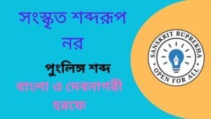 সংস্কৃত শব্দরূপ নর