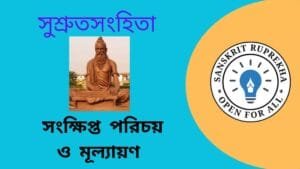 সুশ্রুতসংহিতা