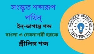 সংস্কৃত শব্দরূপ পথিন্