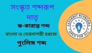 সংস্কৃত শব্দরূপ দাতৃ