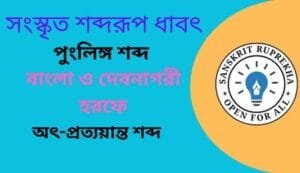 সংস্কৃত শব্দরূপ ধাবৎ